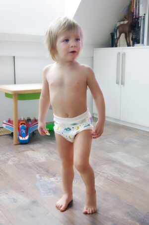 Petit Lulu Potty Training Pants - Small